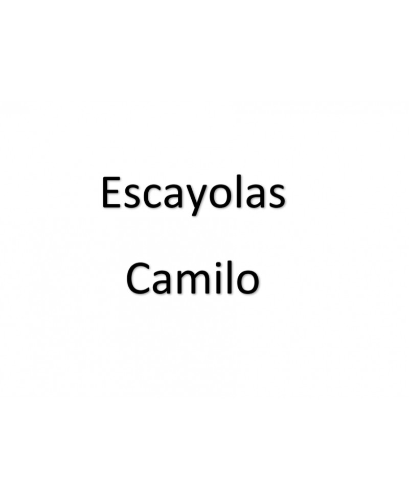 Escayolas Camilo